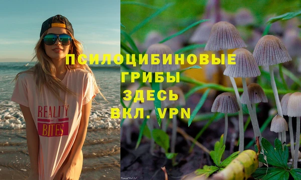 Альфа ПВП Алексин